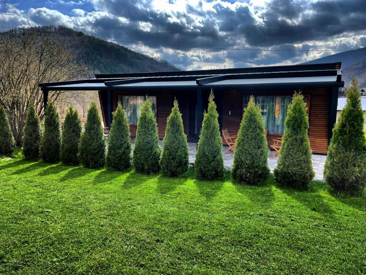 Alexandar studio apartman Mokra Gora Esterno foto