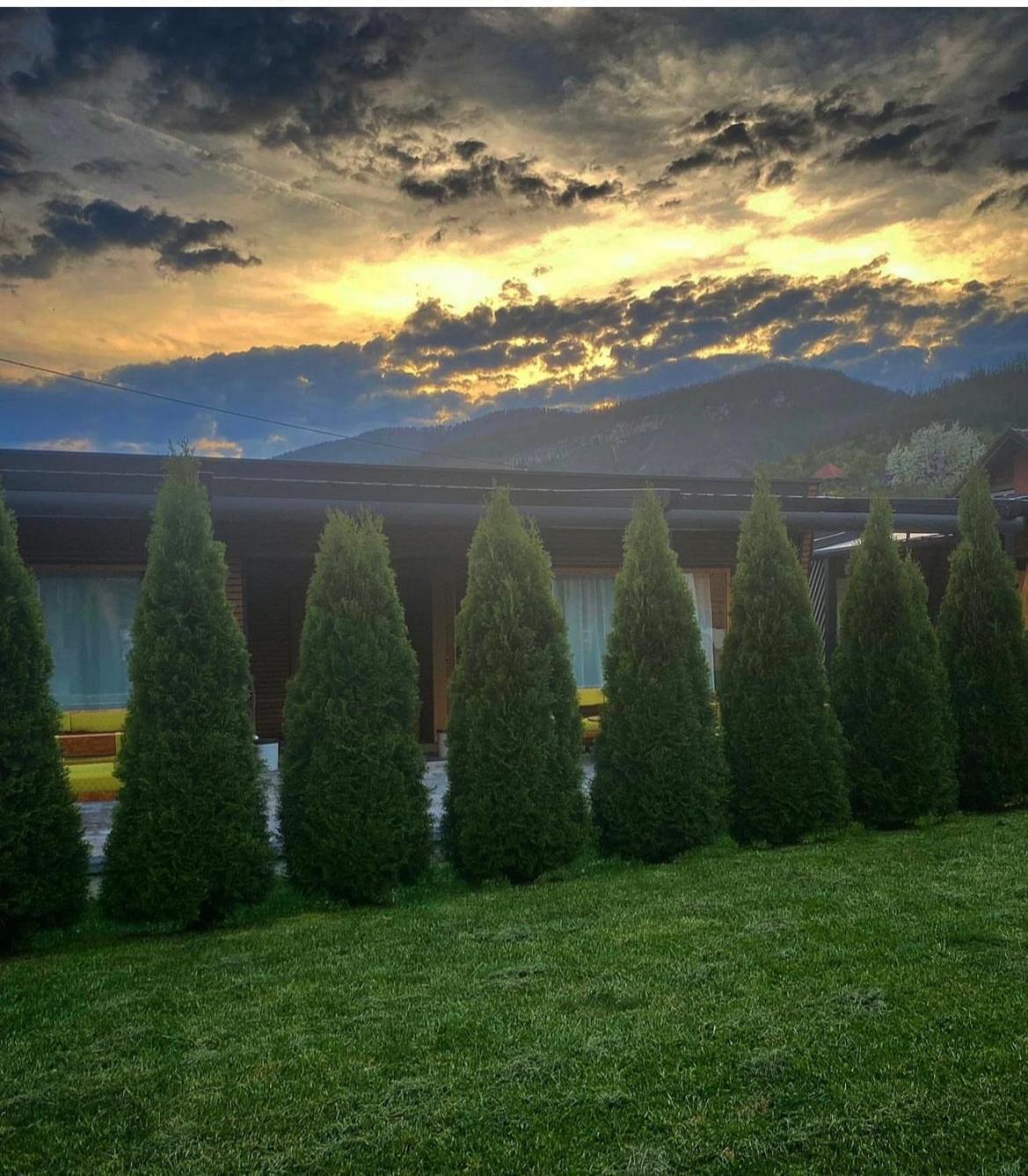 Alexandar studio apartman Mokra Gora Esterno foto