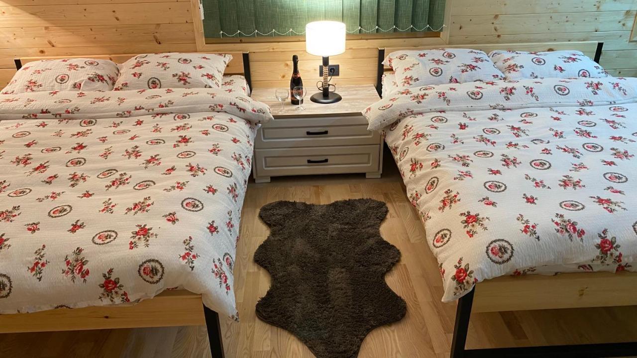 Alexandar studio apartman Mokra Gora Esterno foto